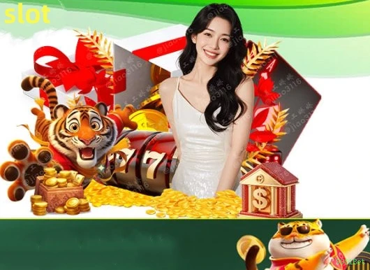 Cassino ao vivo da 9981Bet com dealers reais